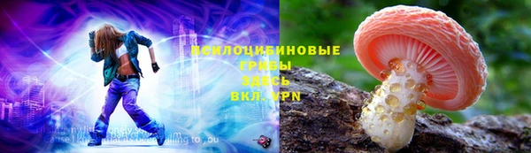 apvp Богородицк
