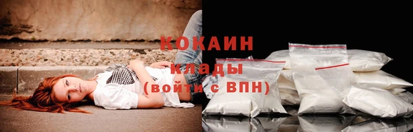 ешки Богданович