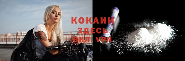 ешки Богданович