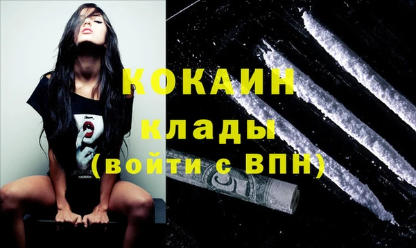 ешки Богданович