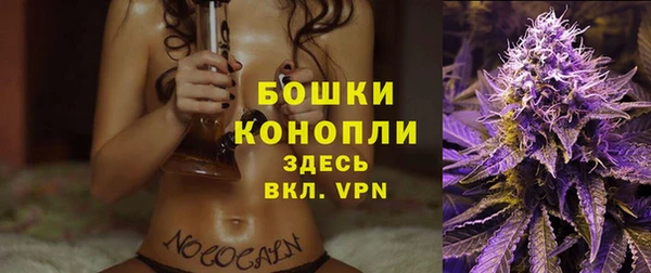 apvp Богородицк